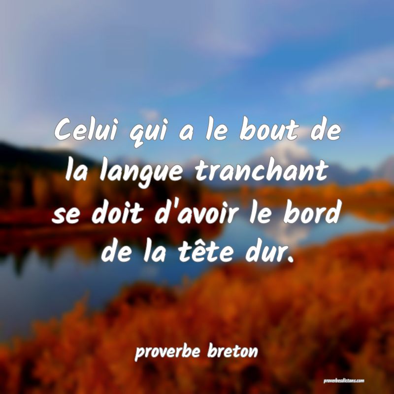 Celui qui a le bout de la langue tranchant se doit d'avoir le bord de la tête dur.