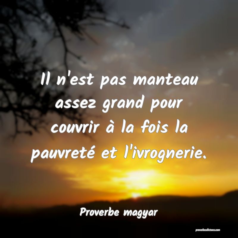 Il n'est pas manteau assez grand pour couvrir à la fois la pauvreté et l'ivrognerie.