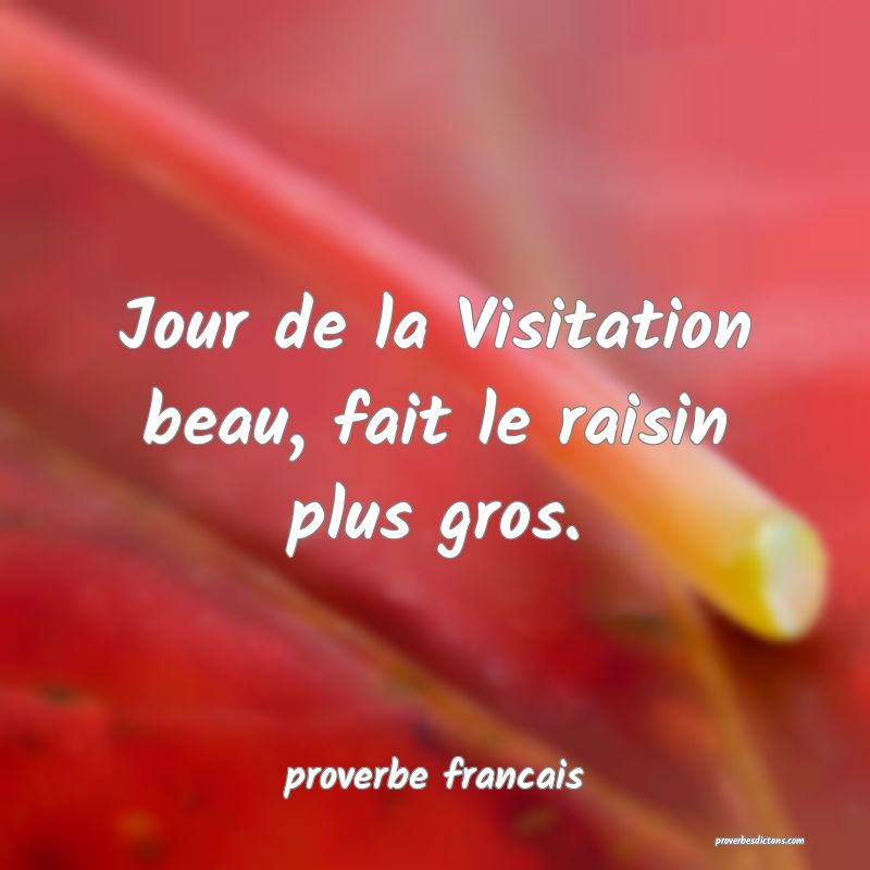 Jour de la Visitation beau, fait le raisin plus gros.