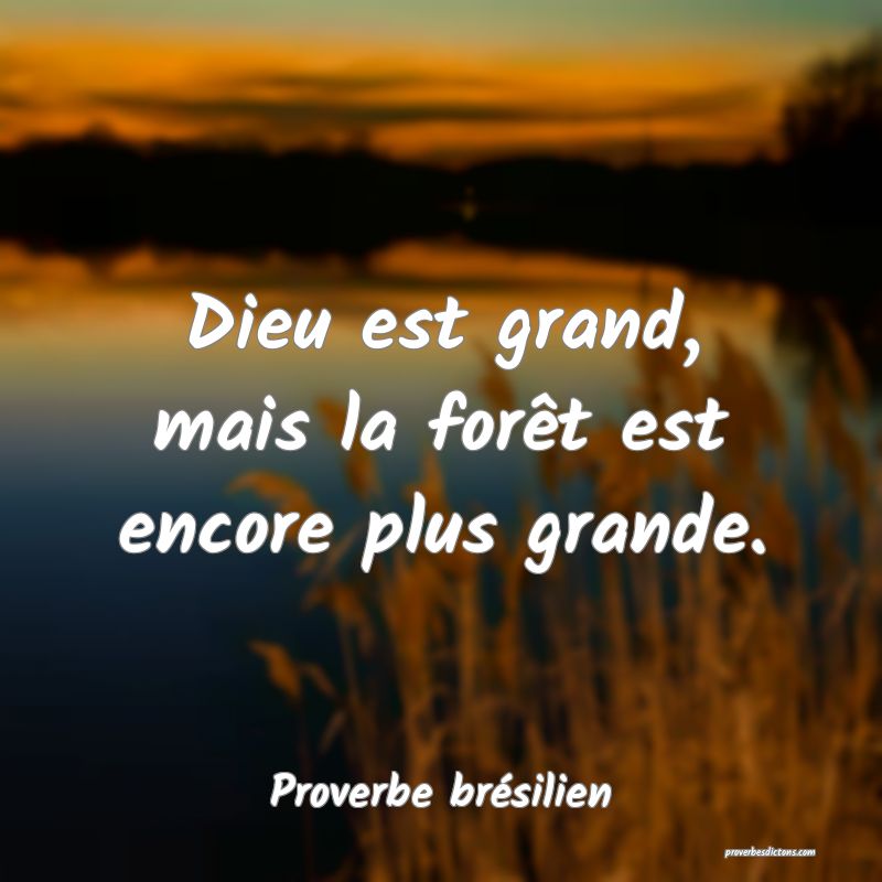 Dieu est grand, mais la forêt est encore plus grande.