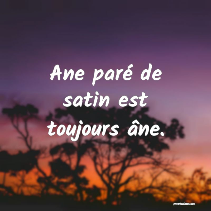 Ane paré de satin est toujours âne.