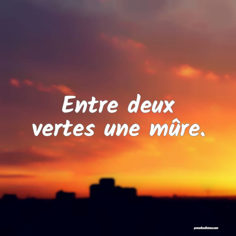 Entre deux vertes une mûre.