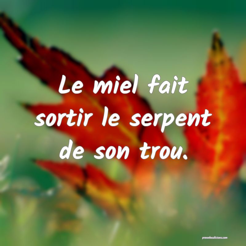 Le miel fait sortir le serpent de son trou.