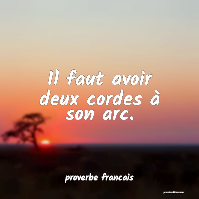 Il faut avoir deux cordes à son arc.