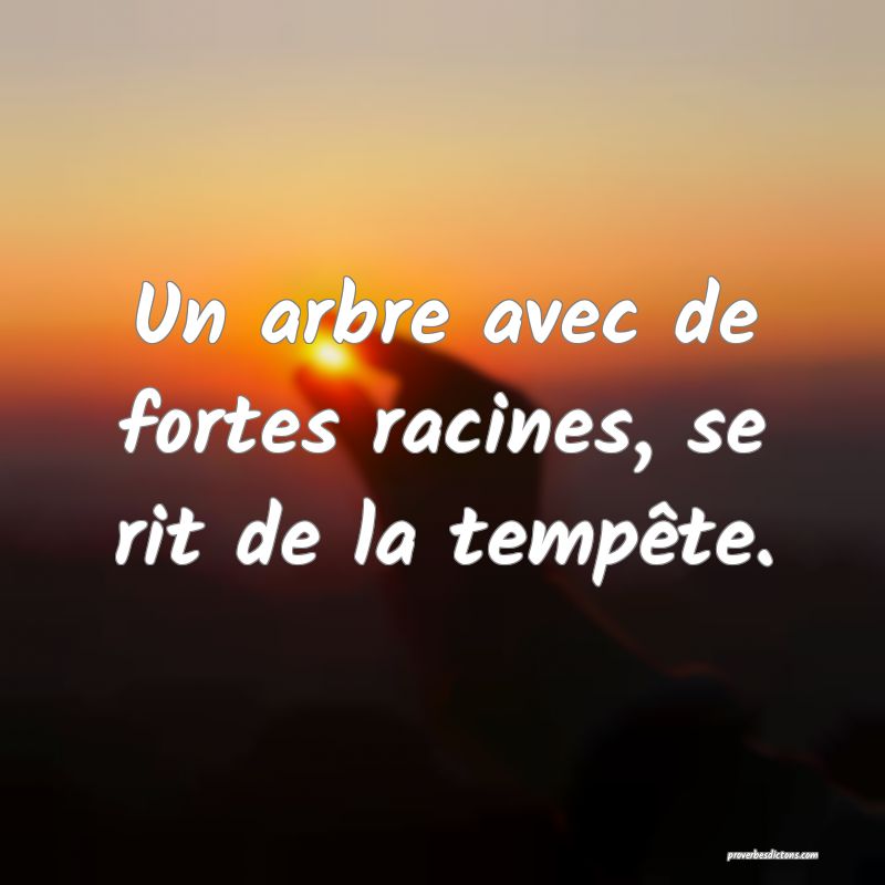 Un arbre avec de fortes racines, se rit de la tempête.