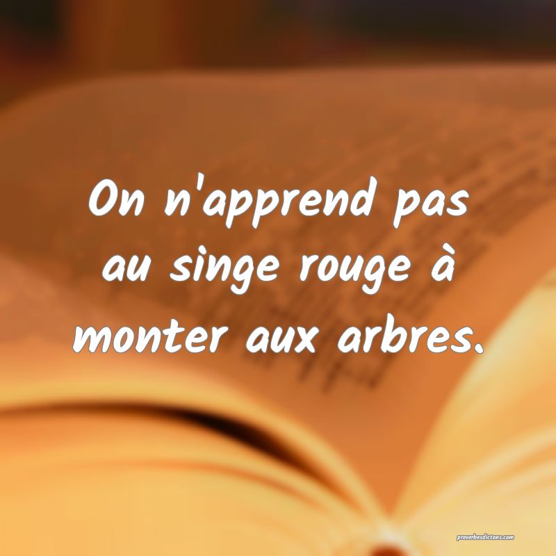 On n'apprend pas au singe rouge à monter aux arbres.