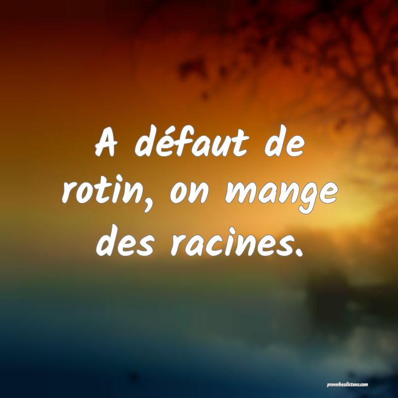 A défaut de rotin, on mange des racines.