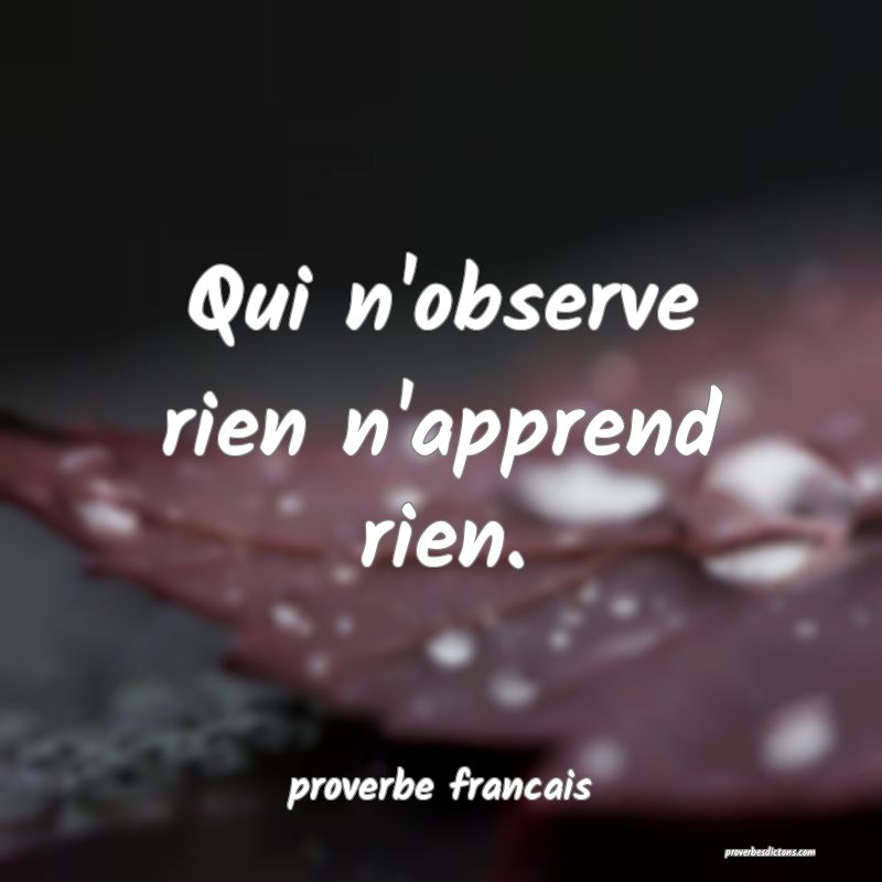 Qui n'observe rien n'apprend rien.
