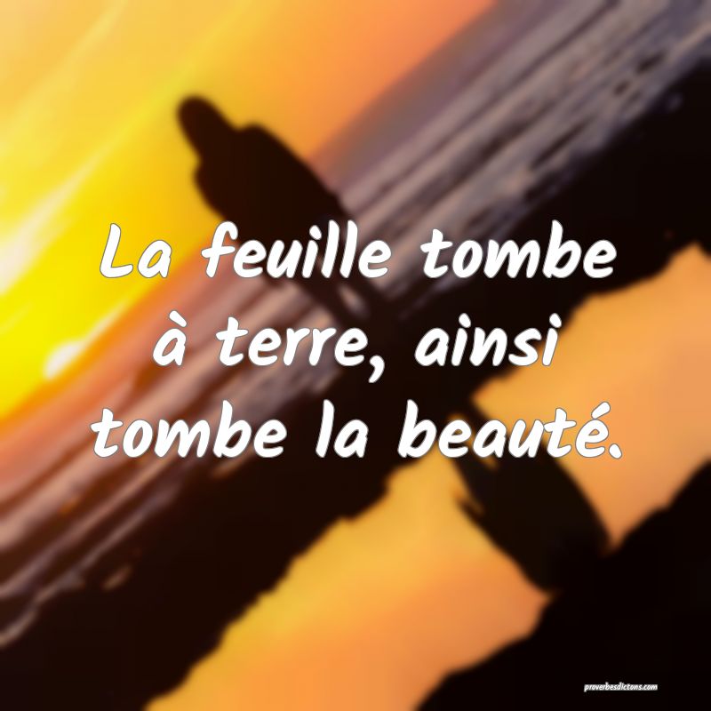 La feuille tombe à terre, ainsi tombe la beauté.