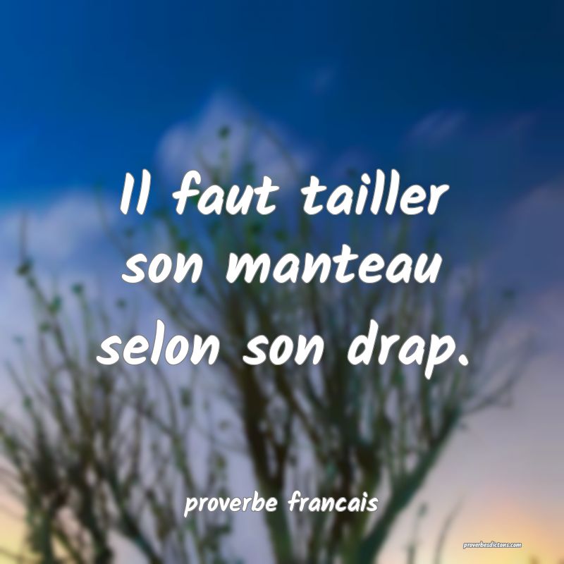 Il faut tailler son manteau selon son drap.