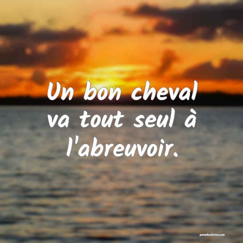 Un bon cheval va tout seul à l'abreuvoir.