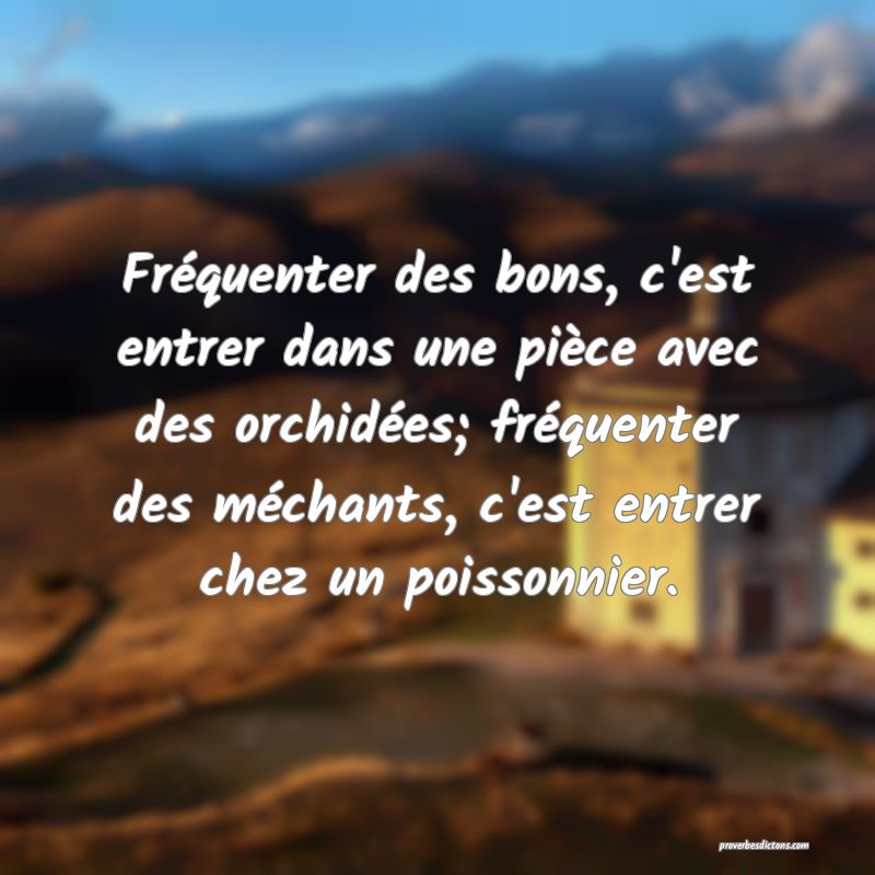 Fréquenter des bons, c'est entrer dans une pièce avec des orchidées; fréquenter des méchants, c'est entrer chez un poissonnier.