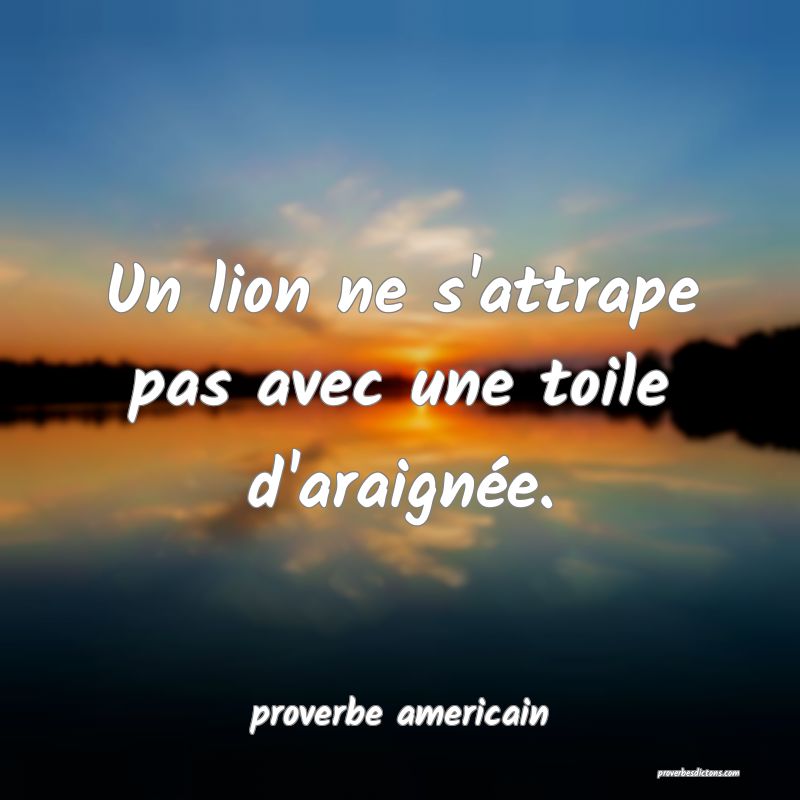 Un lion ne s'attrape pas avec une toile d'araignée.
