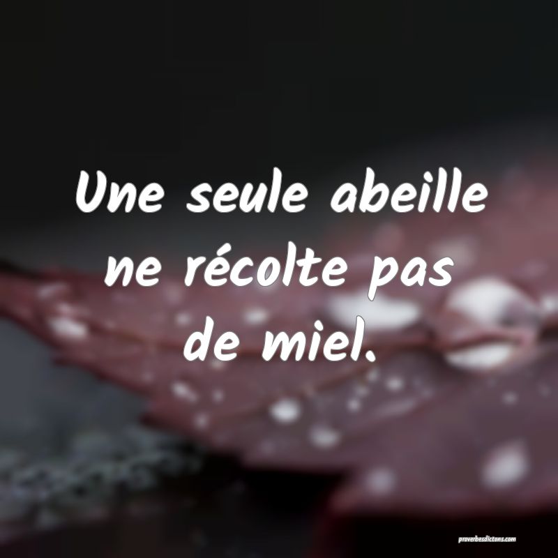 Une seule abeille ne récolte pas de miel.