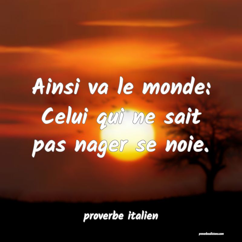  Ainsi va le monde: Celui qui ne sait pas nager se noie.