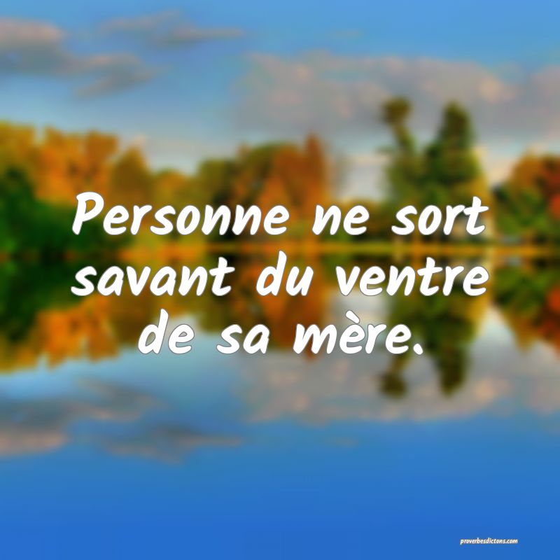 Personne ne sort savant du ventre de sa mère.