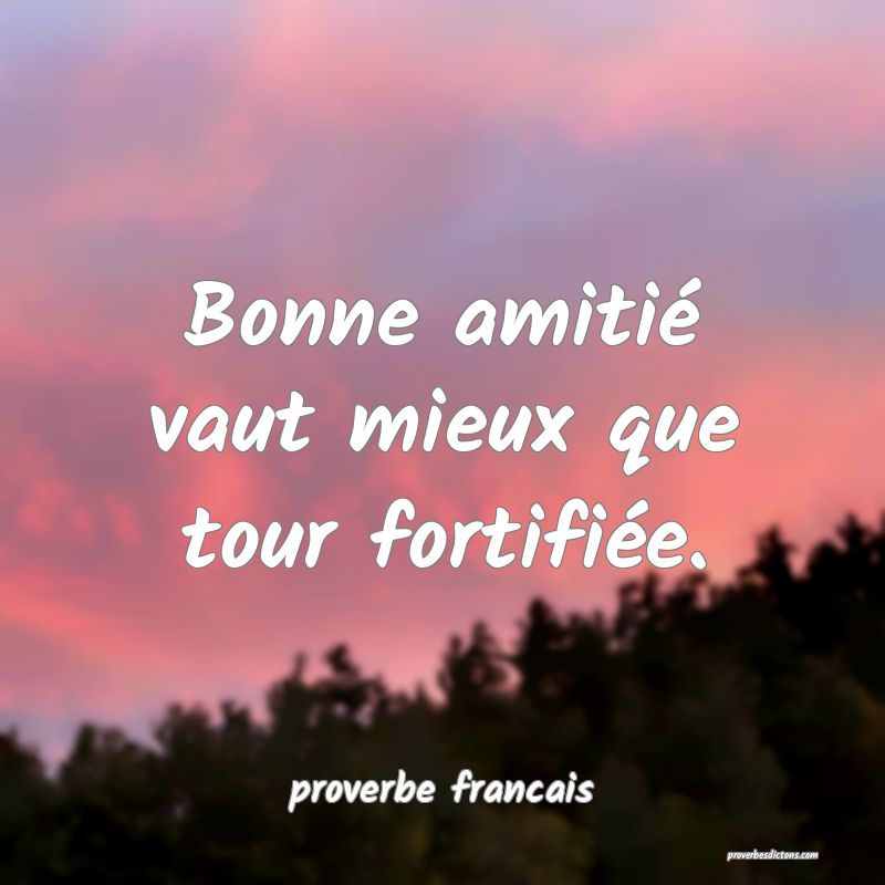 Bonne amitié vaut mieux que tour fortifiée.