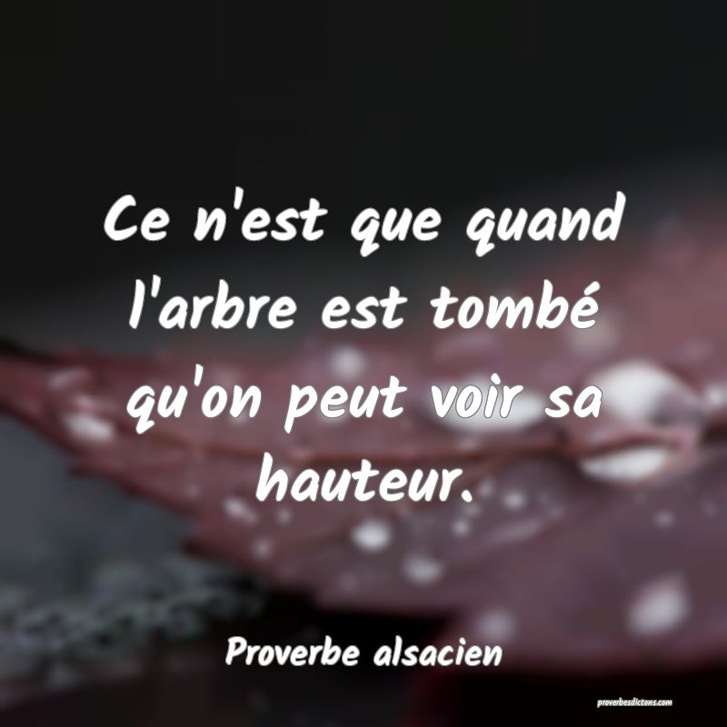 Ce n'est que quand l'arbre est tombé qu'on peut voir sa hauteur.