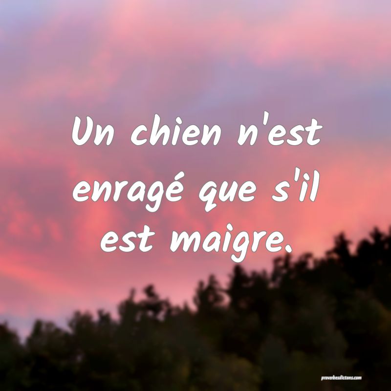 Un chien n'est enragé que s'il est maigre.