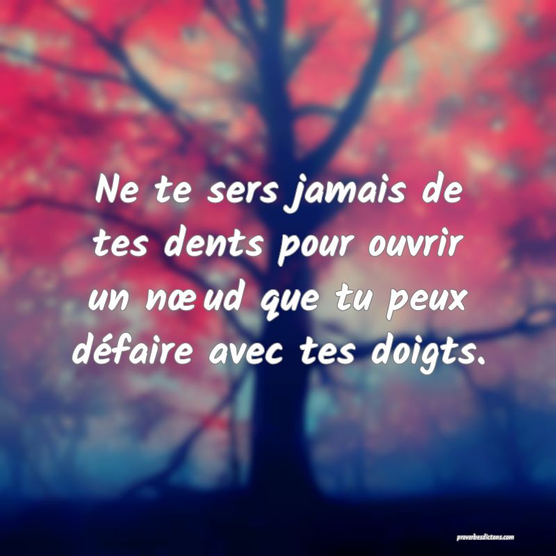 Ne te sers jamais de tes dents pour ouvrir un nœud que tu peux défaire avec tes doigts.