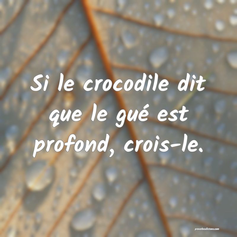 Si le crocodile dit que le gué est profond, crois-le.