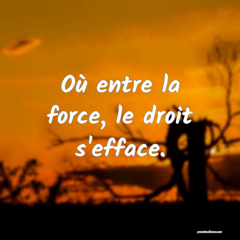 Où entre la force, le droit s'efface.