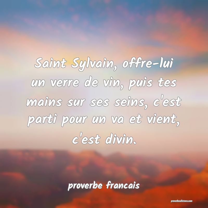 Saint Sylvain, offre-lui un verre de vin, puis tes mains sur ses seins, c'est parti pour un va et vient, c'est divin.
