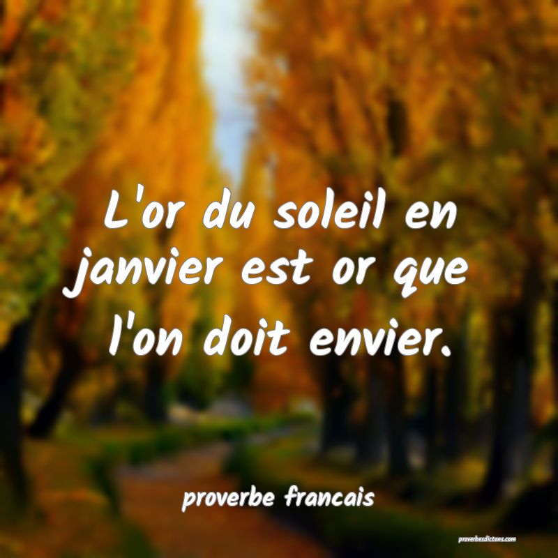 L'or du soleil en janvier est or que l'on doit envier.