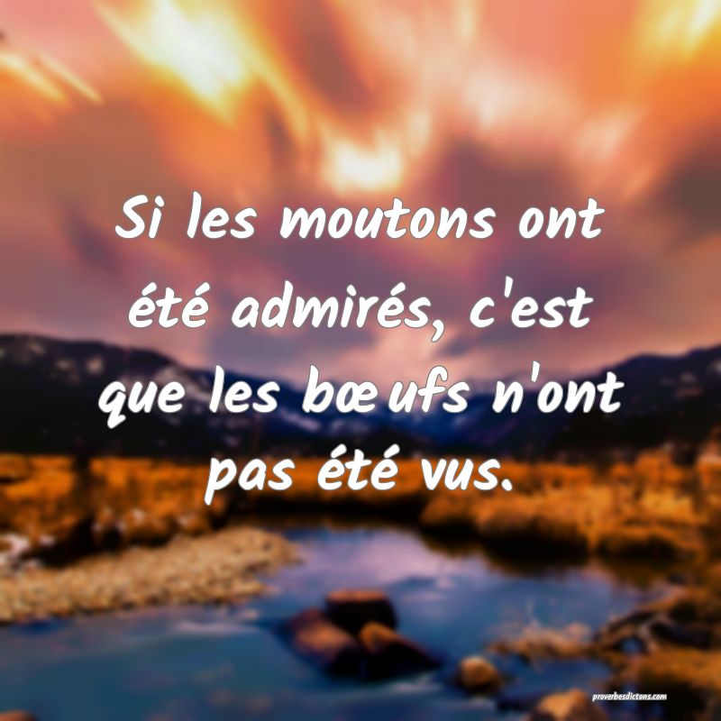 Si les moutons ont été admirés, c'est que les bœufs n'ont pas été vus.