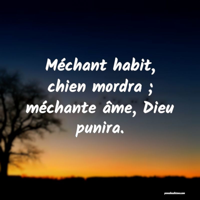 Méchant habit, chien mordra ; méchante âme, Dieu punira.