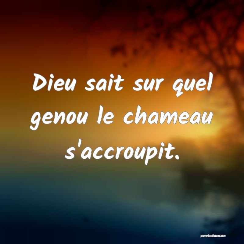 Dieu sait sur quel genou le chameau s'accroupit.