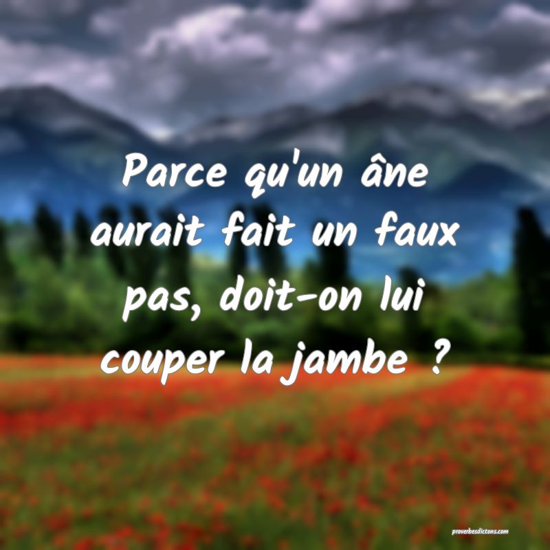 Parce qu'un âne aurait fait un faux pas, doit-on lui couper la jambe ?