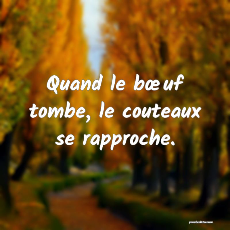 Quand le bœuf tombe, le couteaux se rapproche.