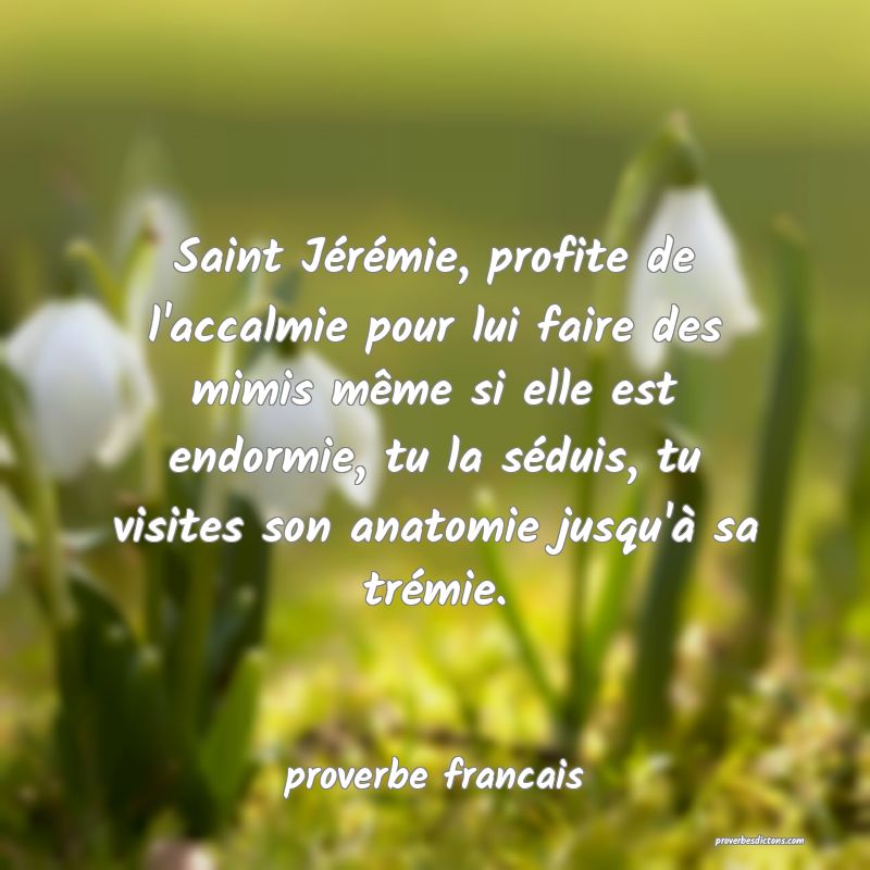 Saint Jérémie, profite de l'accalmie pour lui faire des mimis même si elle est endormie, tu la séduis, tu visites son anatomie jusqu'à sa trémie.