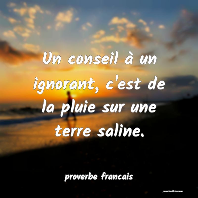 Un conseil à un ignorant, c'est de la pluie sur une terre saline.