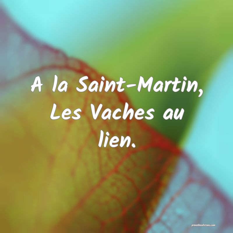 A la Saint-Martin,
Les Vaches au lien.