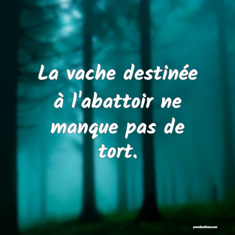La vache destinée à l'abattoir ne manque pas de tort.