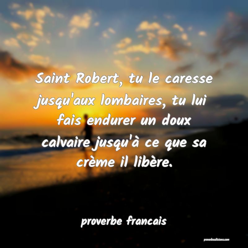 Saint Robert, tu le caresse jusqu'aux lombaires, tu lui fais endurer un doux calvaire jusqu'à ce que sa crème il libère.