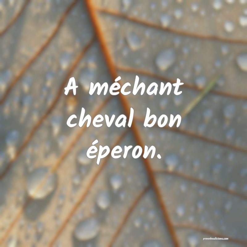 A méchant cheval bon éperon.