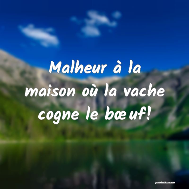 Malheur à la maison où la vache cogne le bœuf!