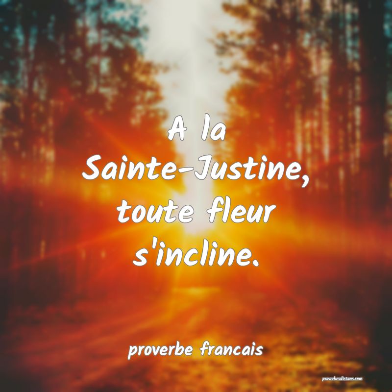 A la Sainte-Justine, toute fleur s'incline.