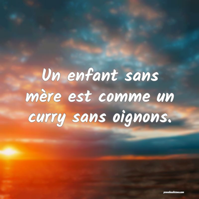 Un enfant sans mère est comme un curry sans oignons.
