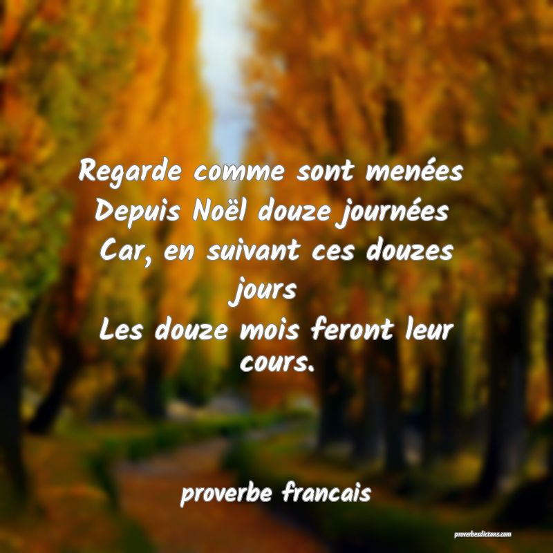 Regarde comme sont menées 
Depuis Noël douze journées 
Car, en suivant ces douzes jours 
Les douze mois feront leur cours.
