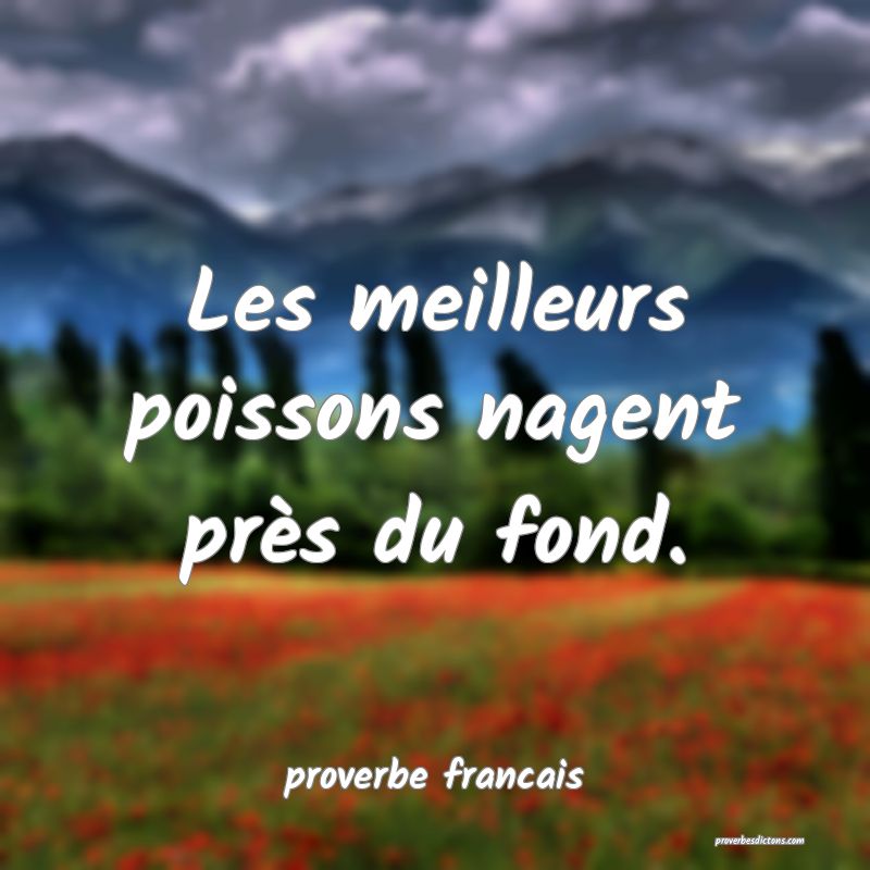 Les meilleurs poissons nagent près du fond.