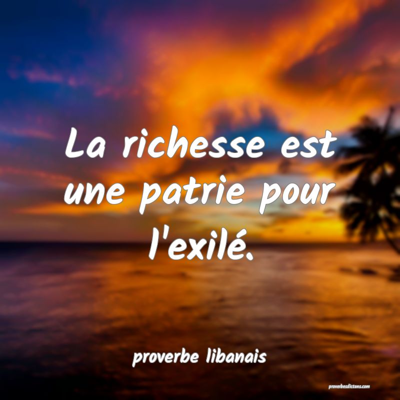 La richesse est une patrie pour l'exilé.