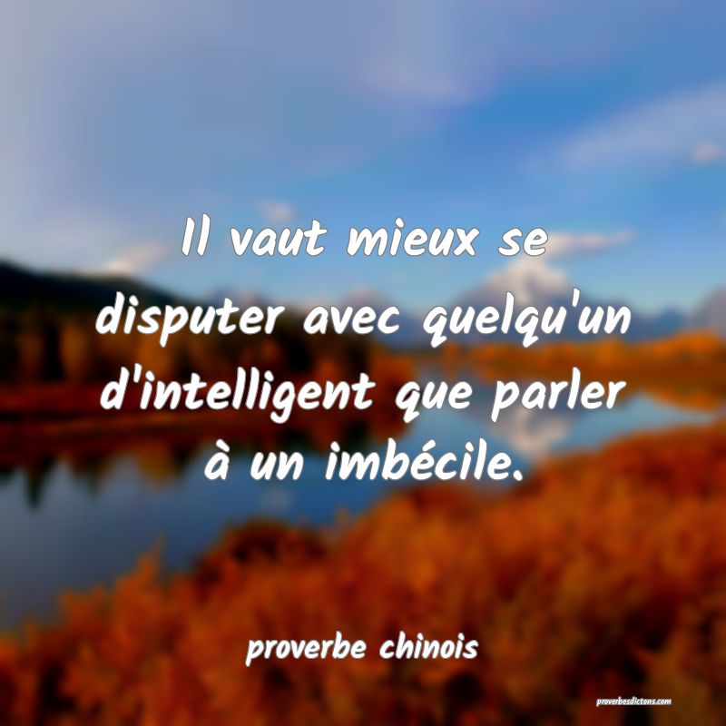 Il vaut mieux se disputer avec quelqu'un d'intelligent que parler à un imbécile.