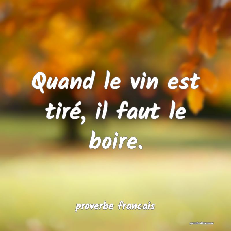 Quand le vin est tiré, il faut le boire.