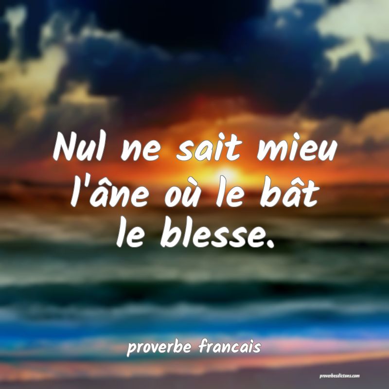 Nul ne sait mieu l'âne où le bât le blesse.
