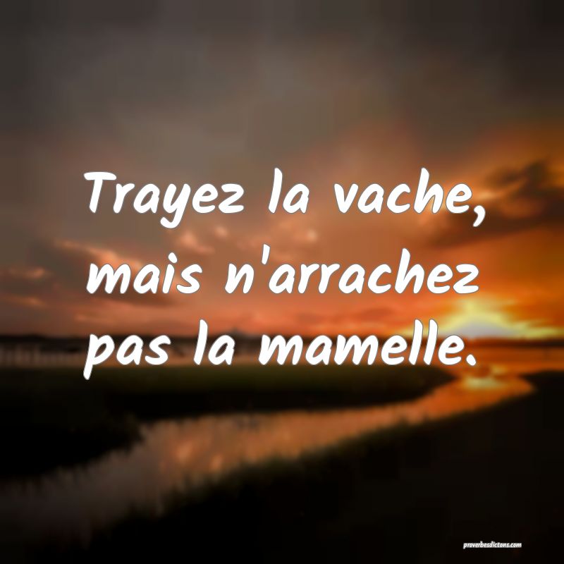 Trayez la vache, mais n'arrachez pas la mamelle.