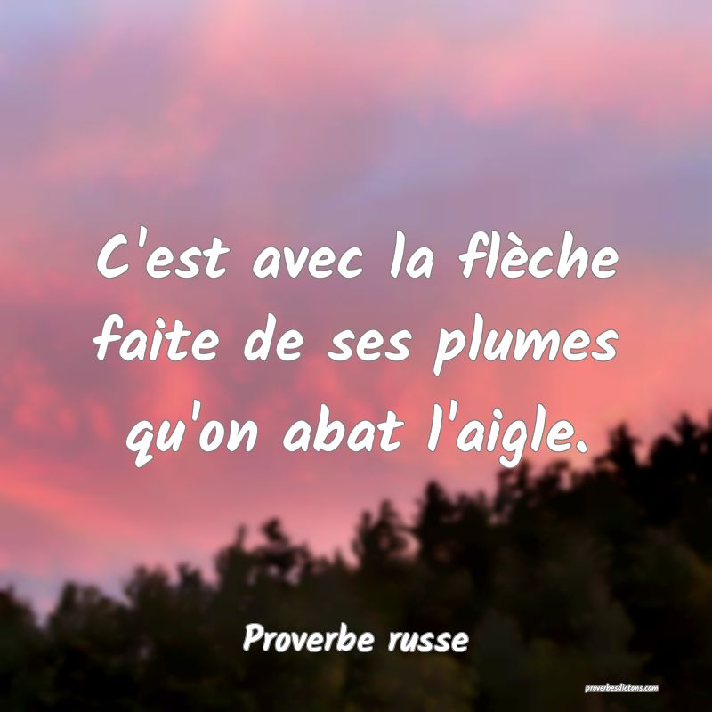  C'est avec la flèche faite de ses plumes qu'on abat l'aigle.